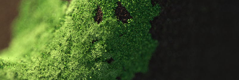 推进瓦楞纸箱回收复用，在网点设置废弃物回收装置